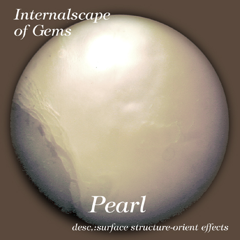 Pearl01