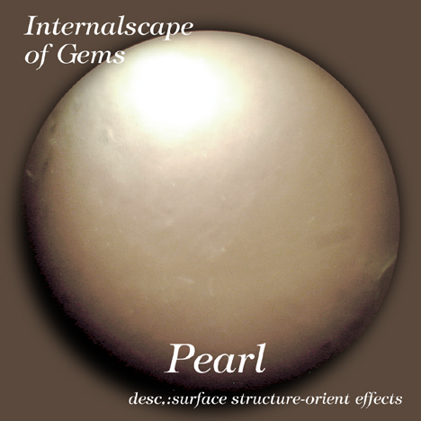 Pearl02