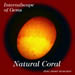 Coral01