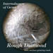 Diamong-Rough01