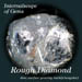 Diamong-Rough08