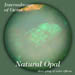 Opal02