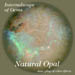 Opal04