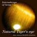 Tigers'eye01