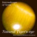 Tigers'eye02