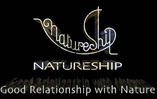 �l�C�`���[�V�b�v���S